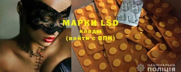 шишки Арсеньев