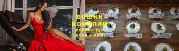 шишки Арсеньев