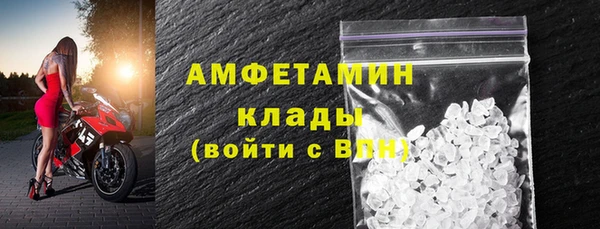 шишки Арсеньев